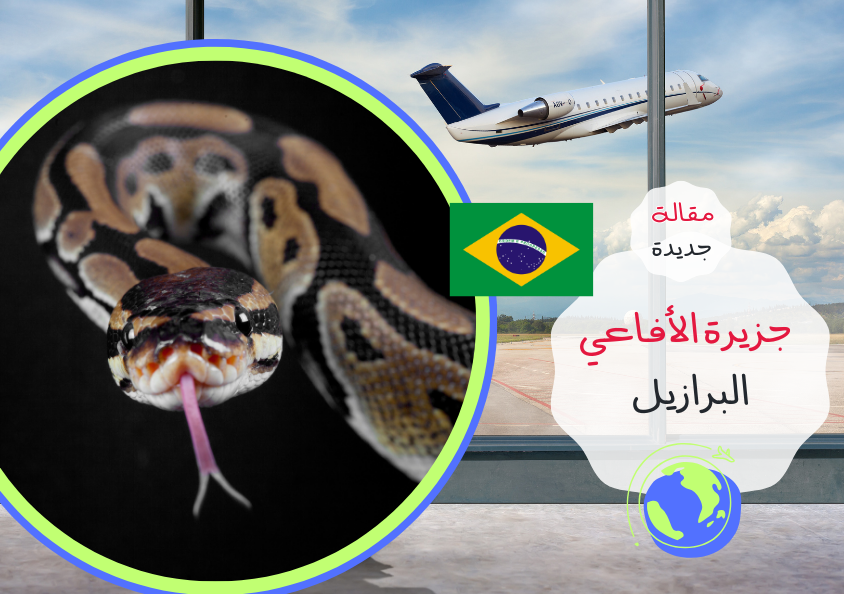 - مقالة - جزيرة الافاعي - البرازيل..